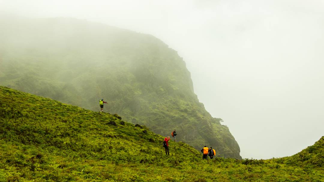 KARNATAKA (15)