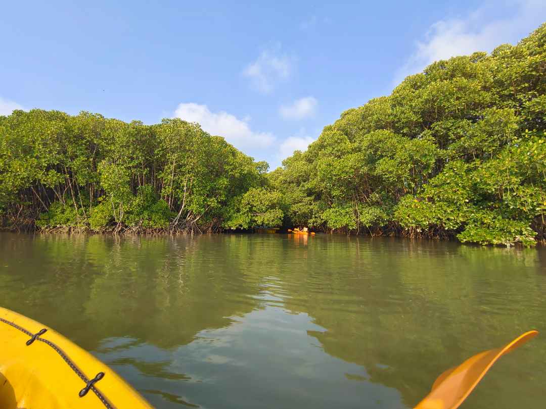 Discover Kayaking Bliss in Honnavar