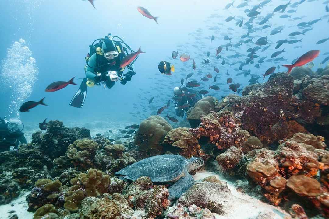 GOA SCUBA DIVE AND ISLAND VISIT TRIP