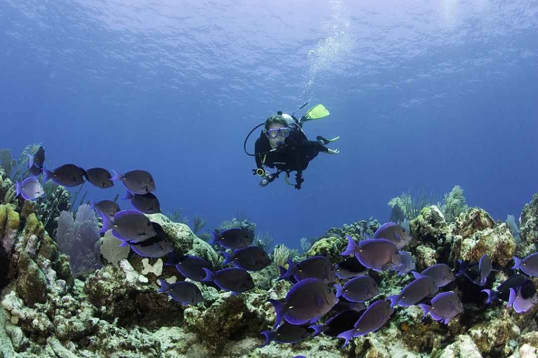 GOA SCUBA DIVE AND ISLAND VISIT TRIP