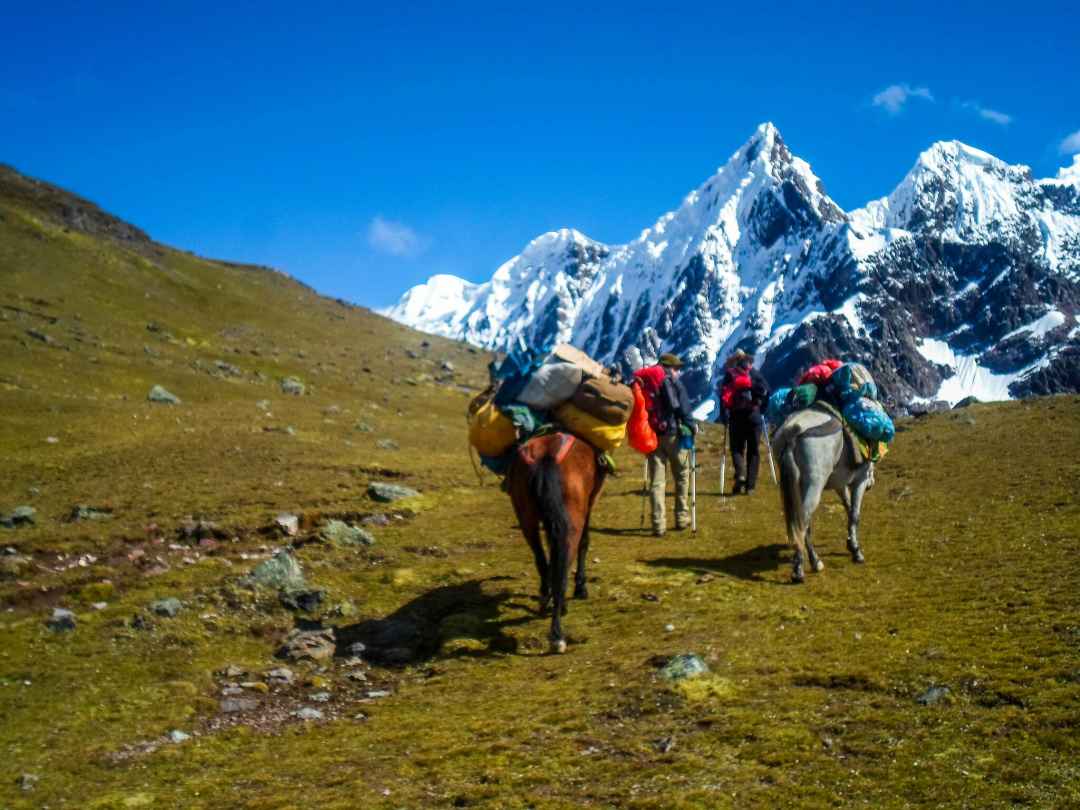 HAMPTA PASS TREK From Delhi