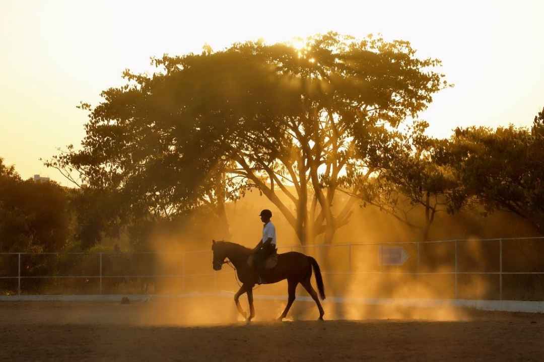 Jaipur Horse Riding Adventure