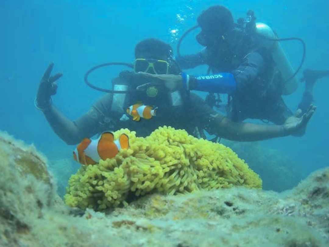 Shore Scuba Diving at Havelock