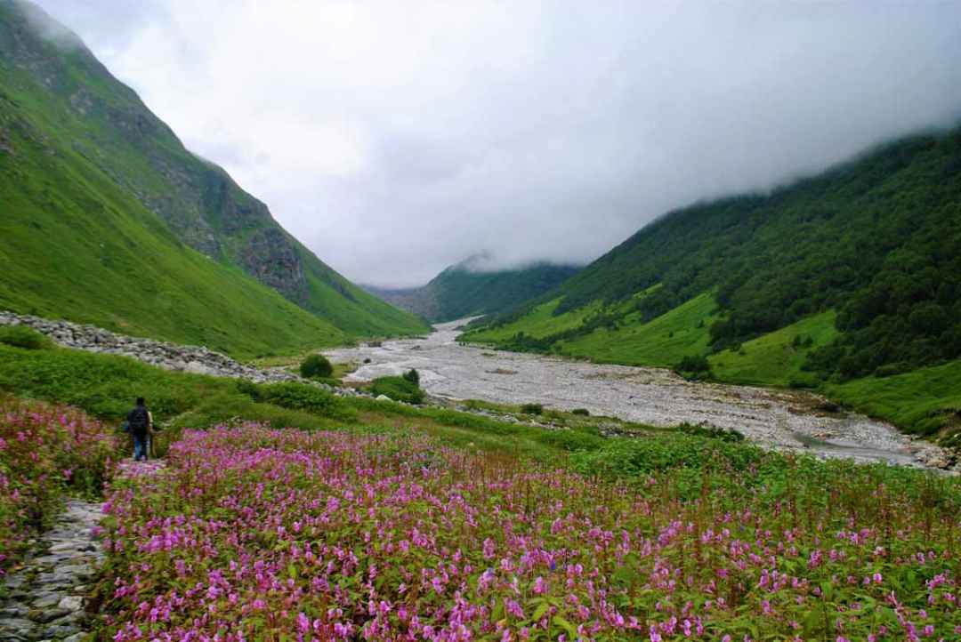 Valley of Flowers Trek with Hemkund Sahib