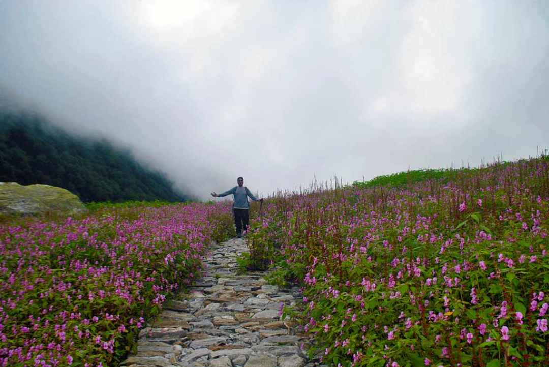 Valley of Flowers Trek with Hemkund Sahib