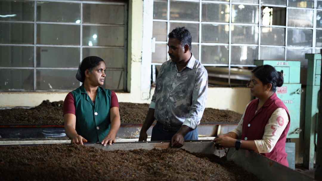 Wentworth Tea Factory Visit Cherambadi