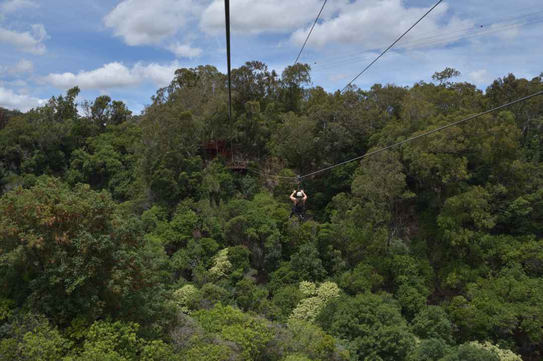 Zipline in Rishikesh