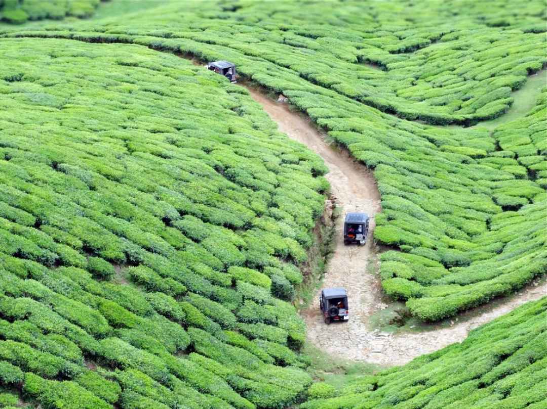 kolukkumalai sunrise jeep safari