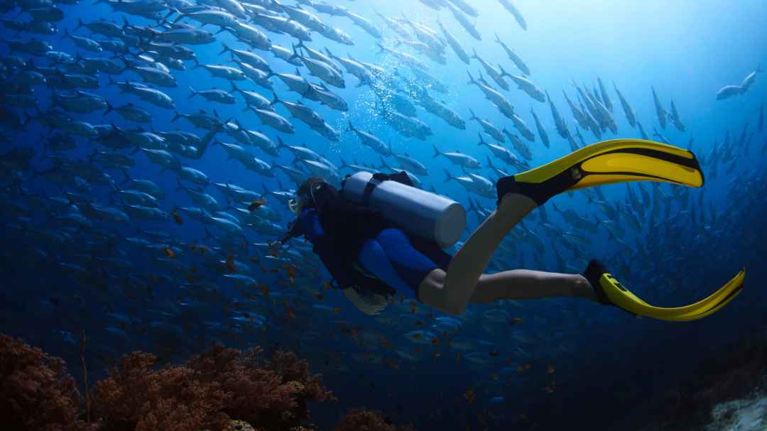 MUST DO ACTIVITIES IN ANDAMAN