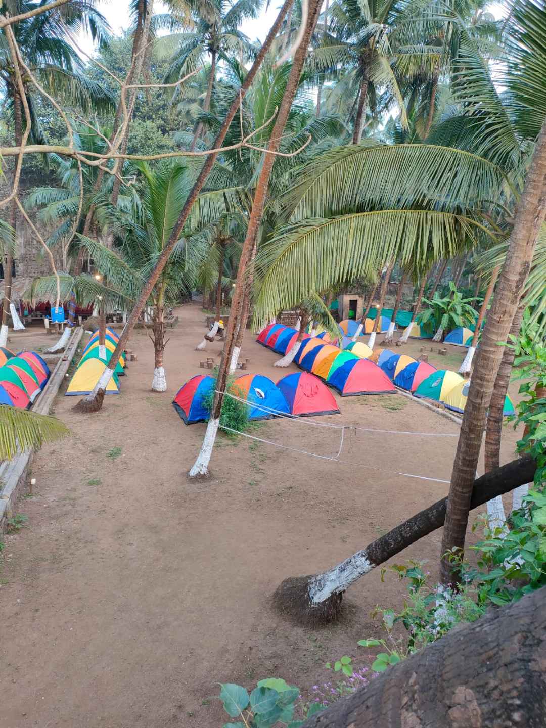 Tent by the bay Alibaug beach camping 