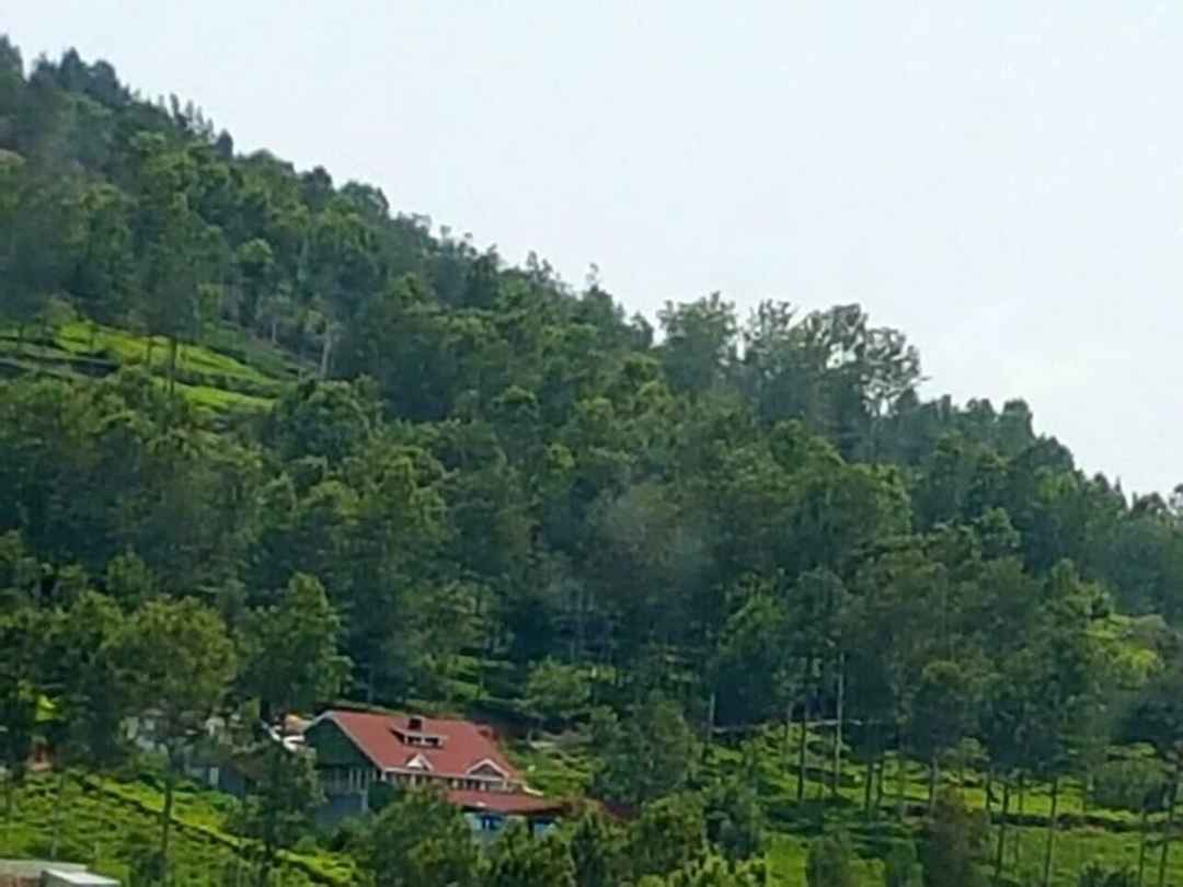 5 bed 5 bath bungalow sleeps up to 15 people inc breakfast