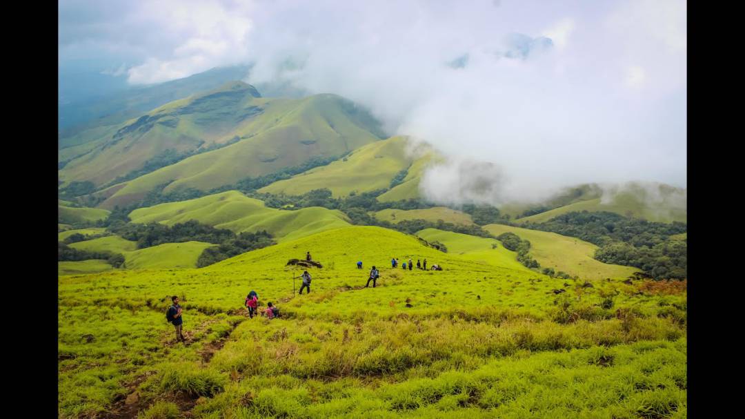 KARNATAKA (33)