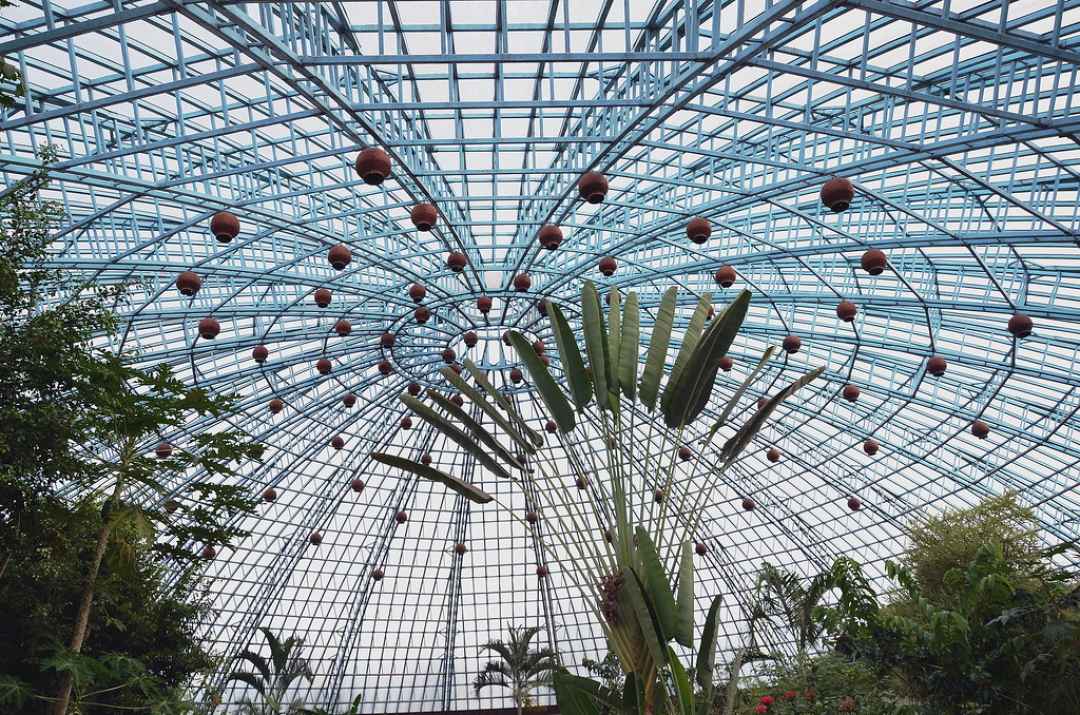 Bannerghatta National Park Private Day Tour with Butterfly Park and Safari from Bangalore