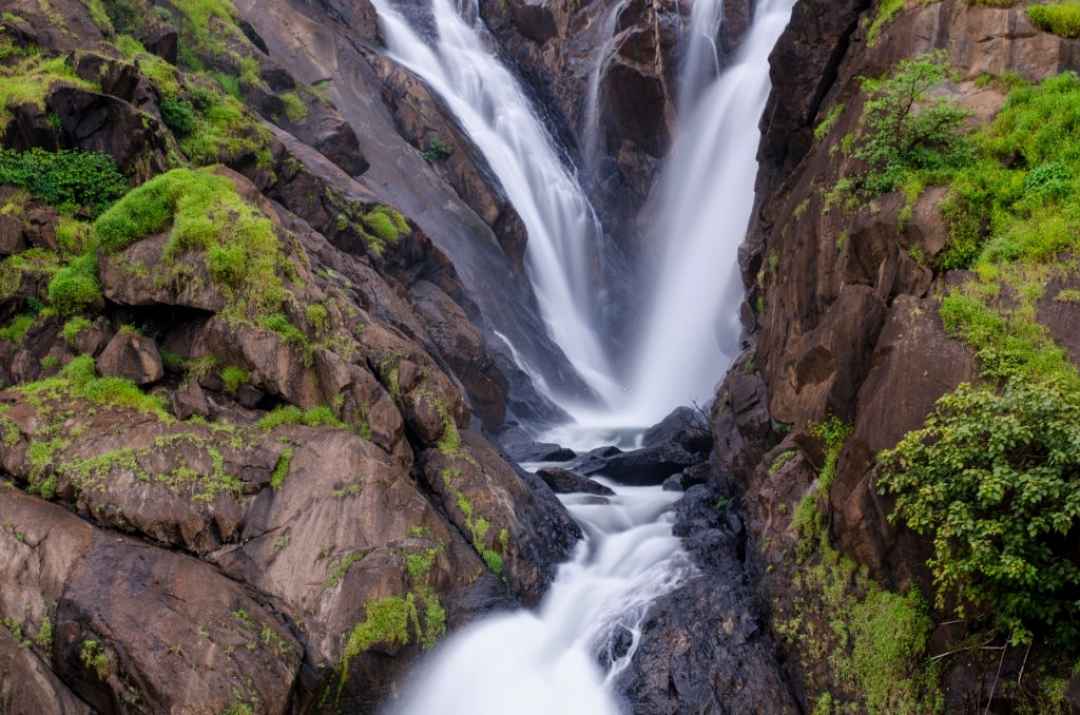 Dudhsagar Falls Jeep Safari Day Trip