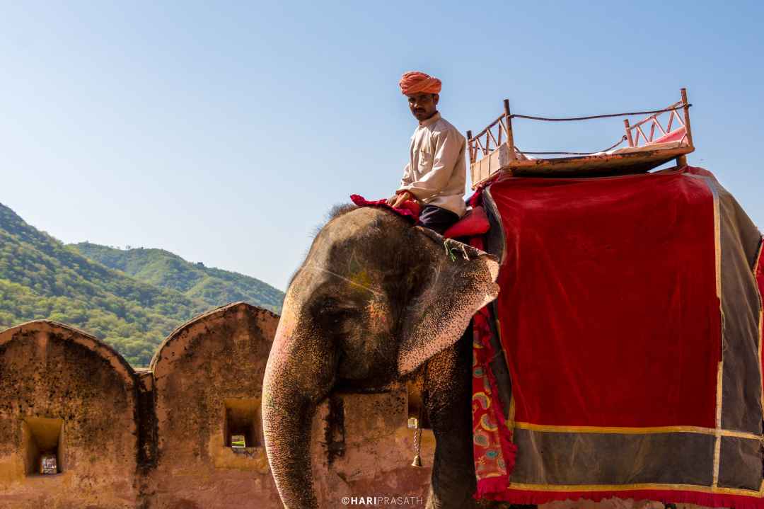 Heritage Camel Safari Tour