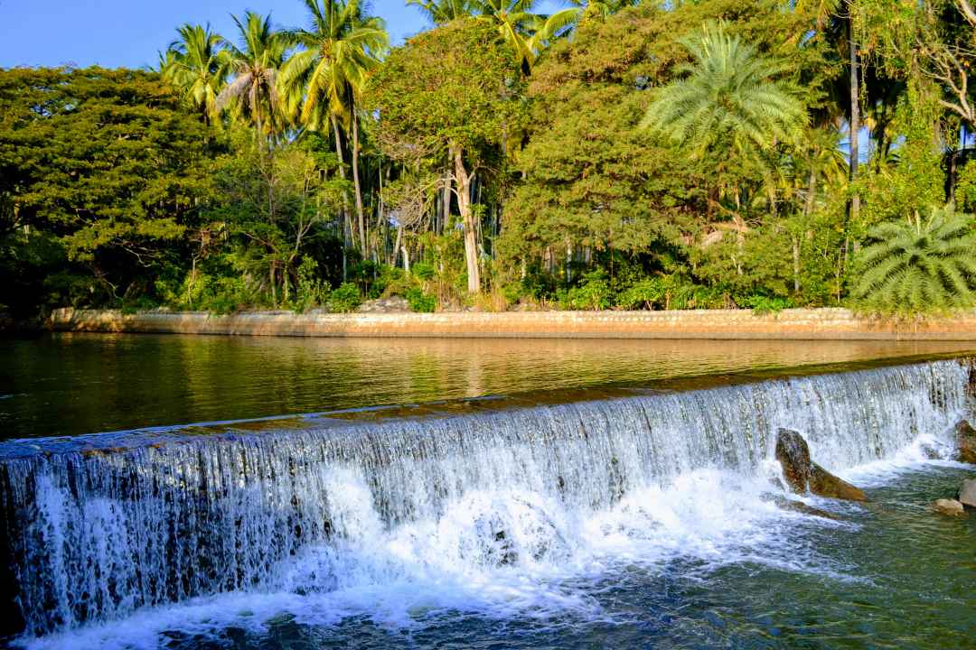 Ranganathittu Bird Sanctuary Tours from bengaluru